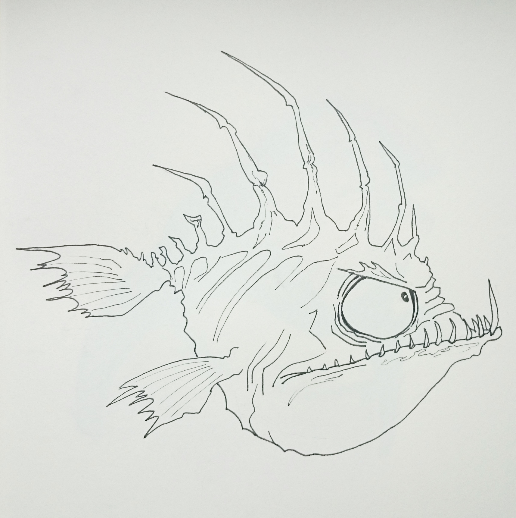 Zeichnung: Fisch